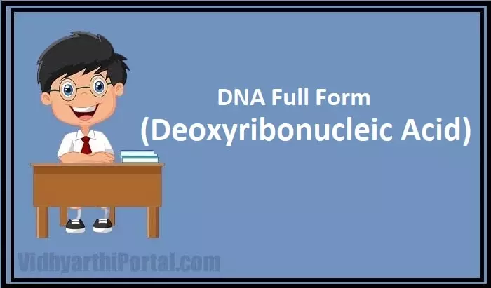Deoxyribonucleic Acid